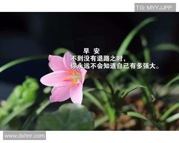 足球明星的励志语录与人生哲学启示你我前行的力量