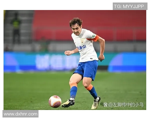 南京排球队在洲际杯中的团队协作表现值得称赞与反思