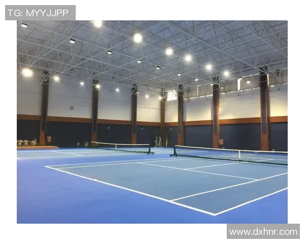 杨丽独家分享网球心得与技巧助你提升球技的秘密大揭秘